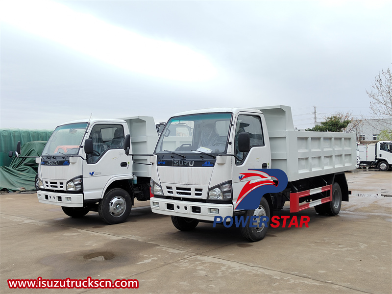 Isuzu 600P 4x2 tipper truck