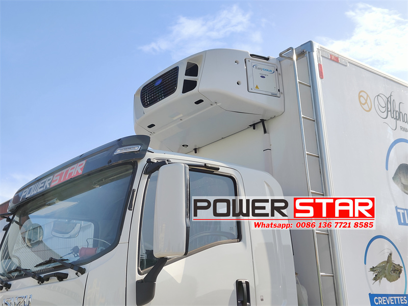 Isuzu GIGA 12 wheeler frozen truck