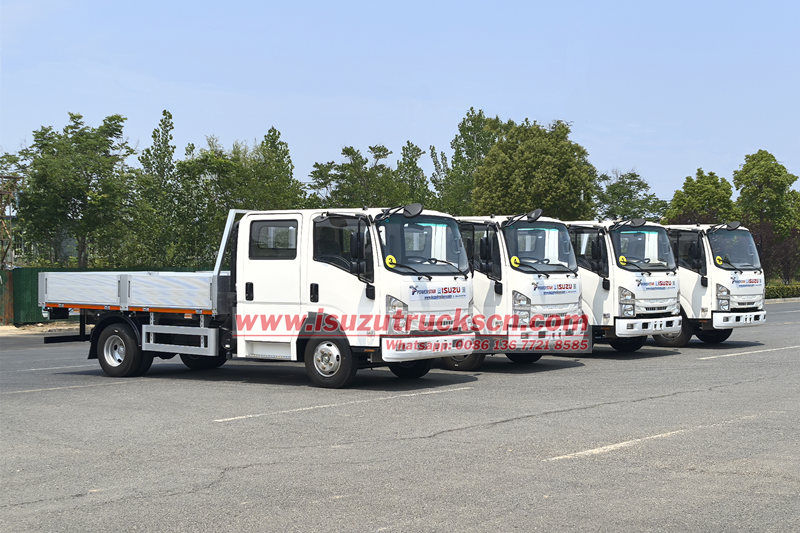 Isuzu ELF cargo trucks